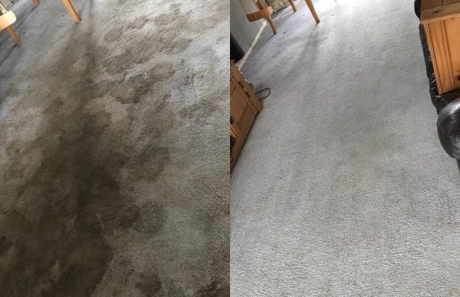 Professional Carpet Cleaning Services in London | Proper Cleaners – Deep Clean, Stain Removal & Odour Elimination